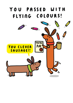 Moonpig You Passed With Flying Colours Cartoon Dogs Congratulations Card