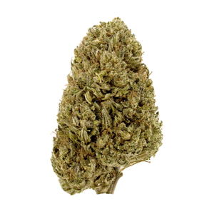 Lemon Octane #13 CBD Flower Sun grown