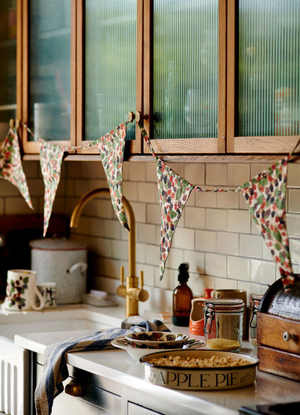 Blackberry 5 Metre Bunting