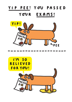 Moonpig Yip Pee You Passed Your Exams Funny Dog Congratulations Card