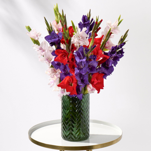 British Gladioli Letterbox