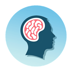 Bachelor of Science in Applied Psychology with a concentration in Media and Technology