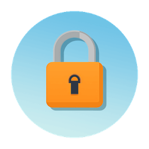 Master of Science in Cybersecurity