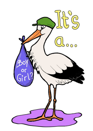Moonpig Illustration Of A Stork Delivering A Baby New Baby Card