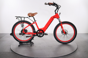 Electric Bike Model R