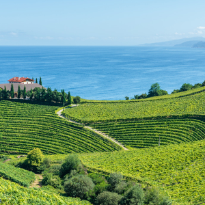 Flavours of Spain's Basque Country and La Rioja