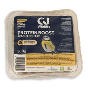 Protein Boost Peanut Cake Square 300g