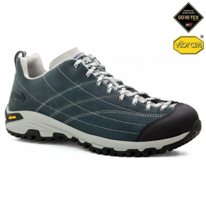 Mens Rando II GTX Shoes (Blue)