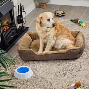 COSMO Corduroy Pet Bed XL