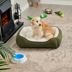 MAJOR Teddy Pet Bed Large