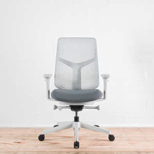 Herman Miller Verus Triflex Back Mineral Office Chair Special Edition | Re-Lived
