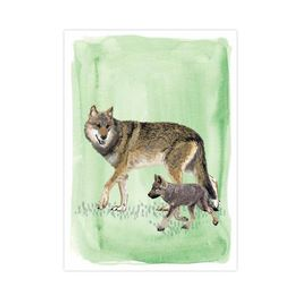 Wolf Greeting Card by Myrte
