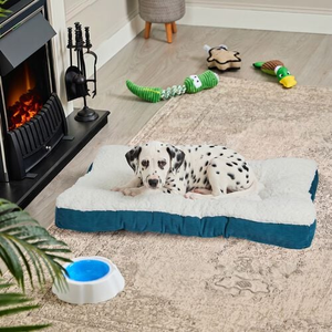 COOPER Cushion Large