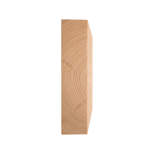 38 x 100mm PAR PREMIER PER MTR PEFC