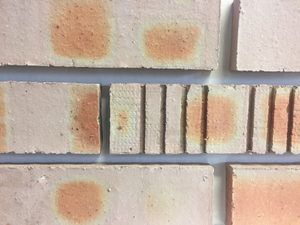 RAEBURN CLAY COMMON BRICK 65mm SCOTLAND