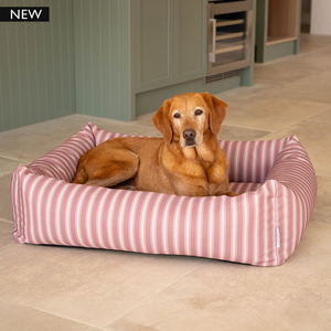 Burnham Bolster Striped Dog Bed - Dusky Rose & Ivory