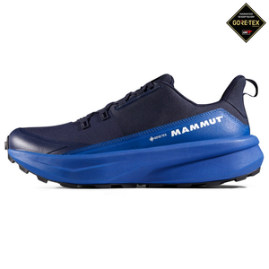 Mens Aenergy Hike Low GTX Hiking Shoes (Marine/Dark Glacier Blue)