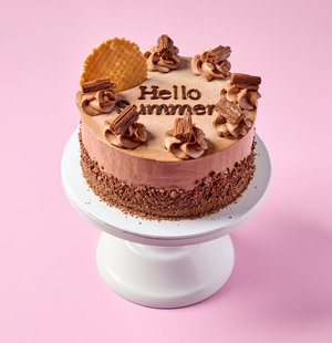 Chocolate Ice Cream Style Cake