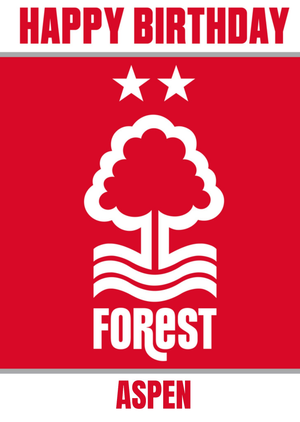 Moonpig Nottingham Forest Fc Birthday Card
