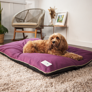 BLUE PAW Linen-Look Large Dog Cushion, Claret
